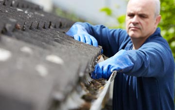 cleaning and inspecting Enfield Lock roofs