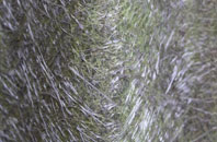 Enfield Lock fibreglass roof work